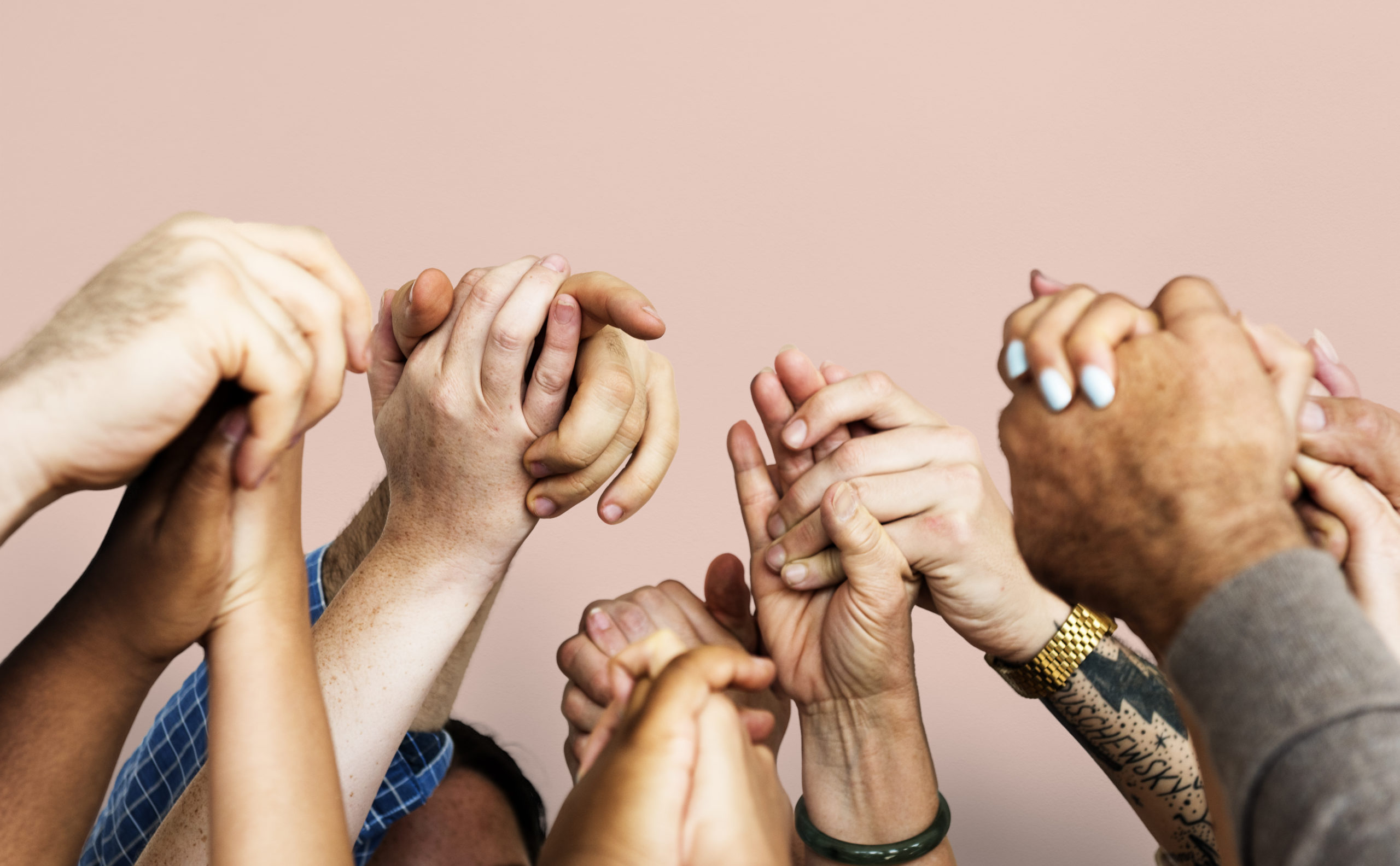 image of a diverse group of hands holding each other in front of a pink background